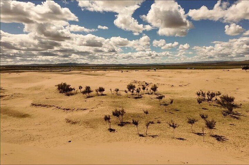A desert landscape with sparse vegetation and a clear sky. 1
