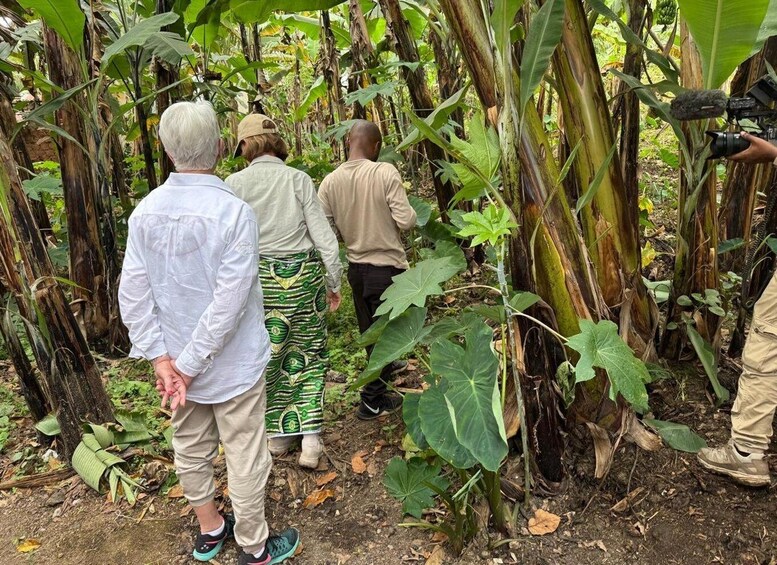 Picture 2 for Activity Musanze: Community Walk with Language, Culture & Food 1