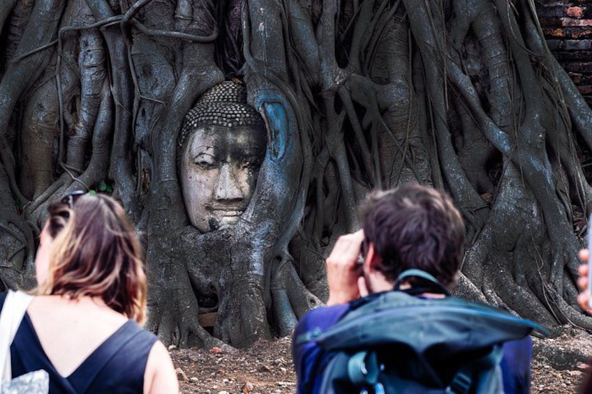 Un'imponente statua di Buddha parzialmente nascosta dalle radici degli alberi. 5