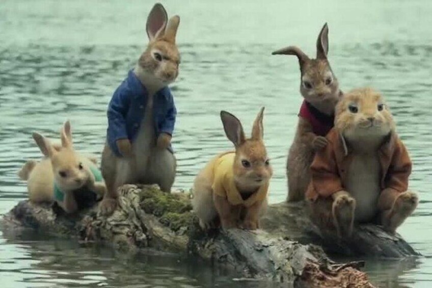 A group of rabbits on a log in water. 3