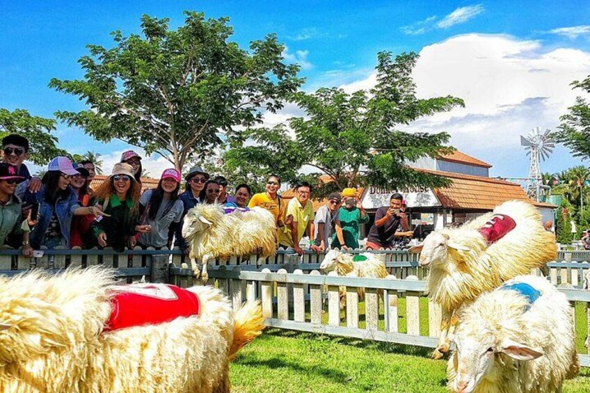 A group of people observing animals behind a fence, with trees and a building in the background. 2