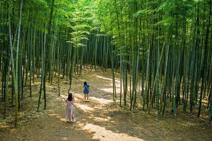Busan to Gyeongju UNESCO Legacy Tour 2
