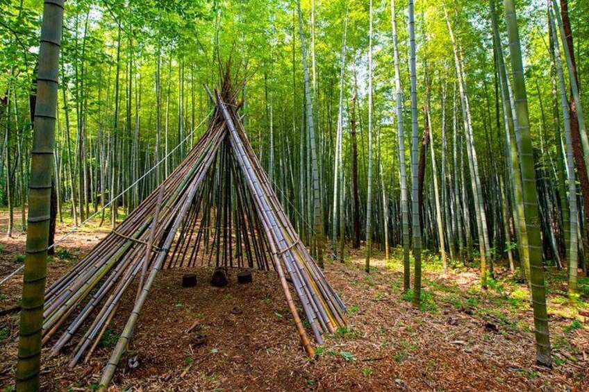 Un bosque de bambú con una estructura de bambú. 5