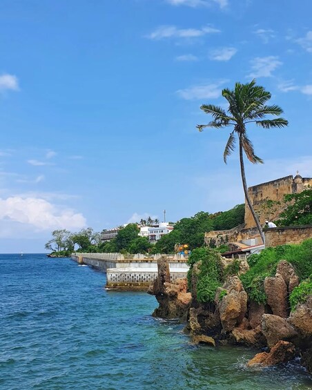A coastal landscape with a palm tree, rocky outcrops, a lighthouse, and buildings on a hillside. 4