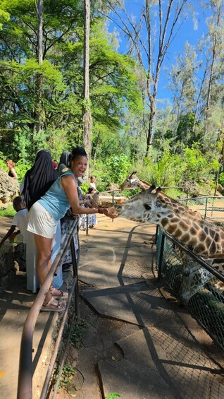 Private Mombasa City Tour & Giraffe Feeding at Haller Park. 1