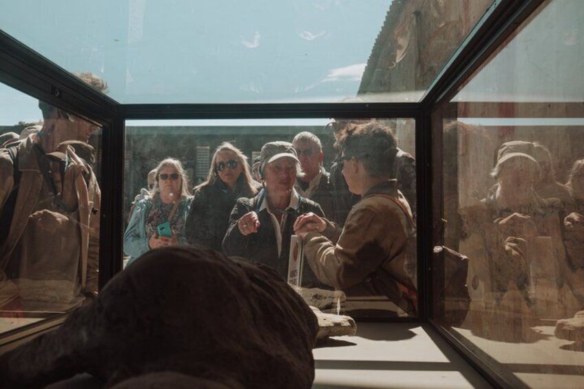 A group of people inside a glass enclosure observing a large animal. 3