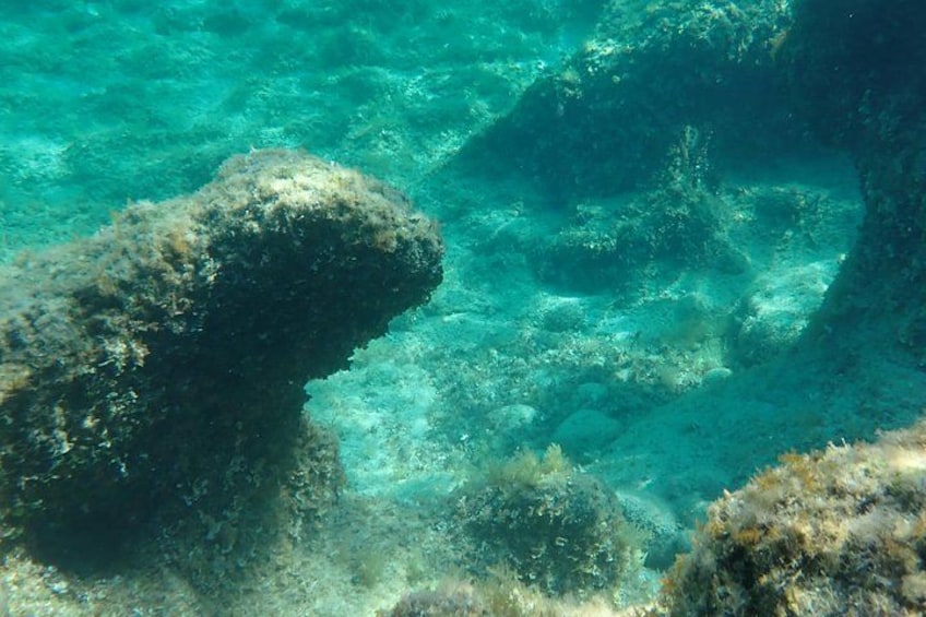 Zen in the sea! 3