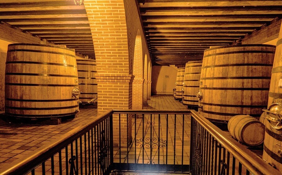 A cellar with wooden barrels arranged in rows. 5