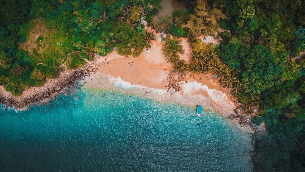 An aerial view of a beach with clear turquoise waters, a sandy shore, and dense green vegetation. 4