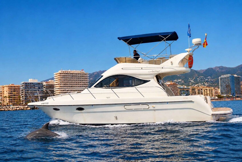 A white yacht with a blue canopy, a flag, and a dolphin swimming nearby. 1