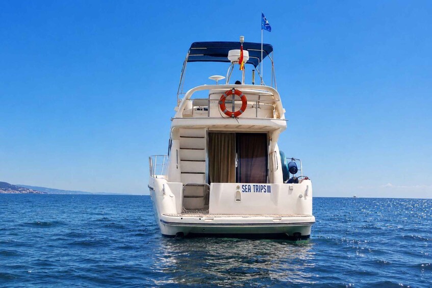 A white boat with 'SEA TRIPS III' on the side, a lifebuoy, and a flag on the back. 4