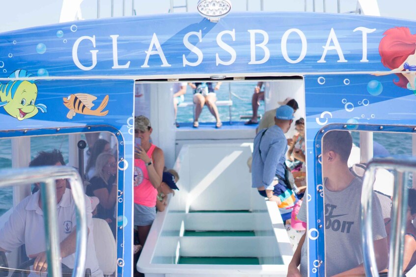 Picture 9 for Activity Medulin: Glass Boat Tour Experience to Kamenjak 4