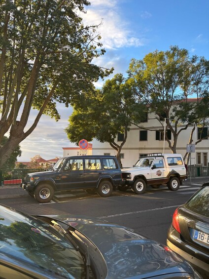 A parking lot with several cars, including a black Pajero and a white SUV, parked under trees. 5