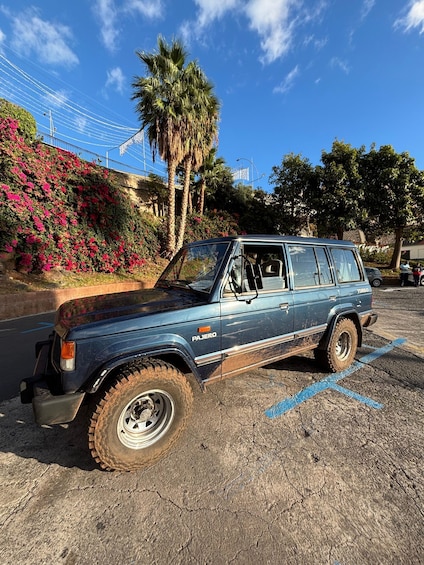 A blue Pajero SUV parked in a lot with a palm tree and pink flowers in the background. 2