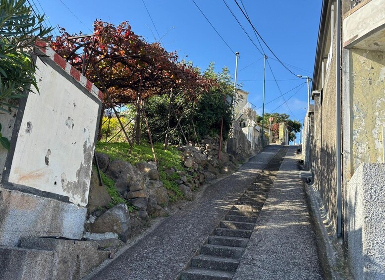A narrow stone staircase leading up a hill, surrounded by vegetation and old buildings. 4