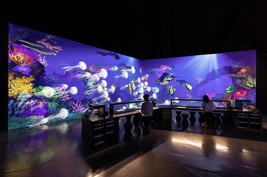 Ein Aquarium mit verschiedenen Fisch- und Korallenanordnungen. 5