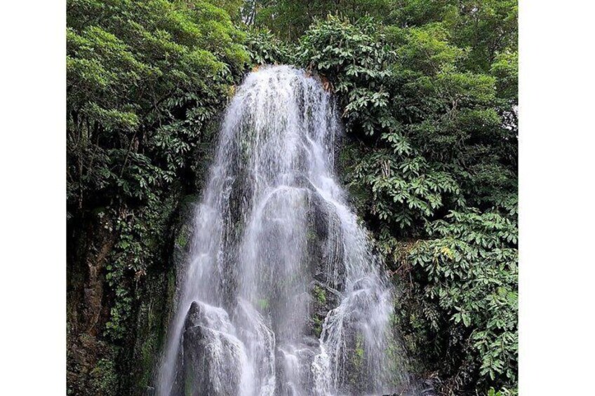 Een waterval omgeven door weelderige groene beplanting. 2