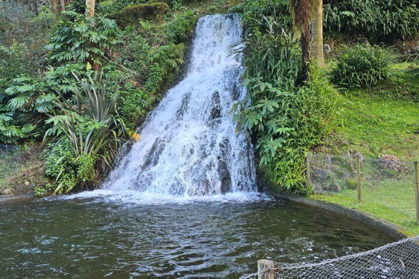 Een waterval die in een vijver stort, omringd door weelderige begroeiing. 3