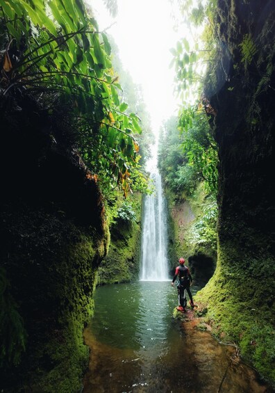 A waterfall in a forested area with a person standing near the water. 2