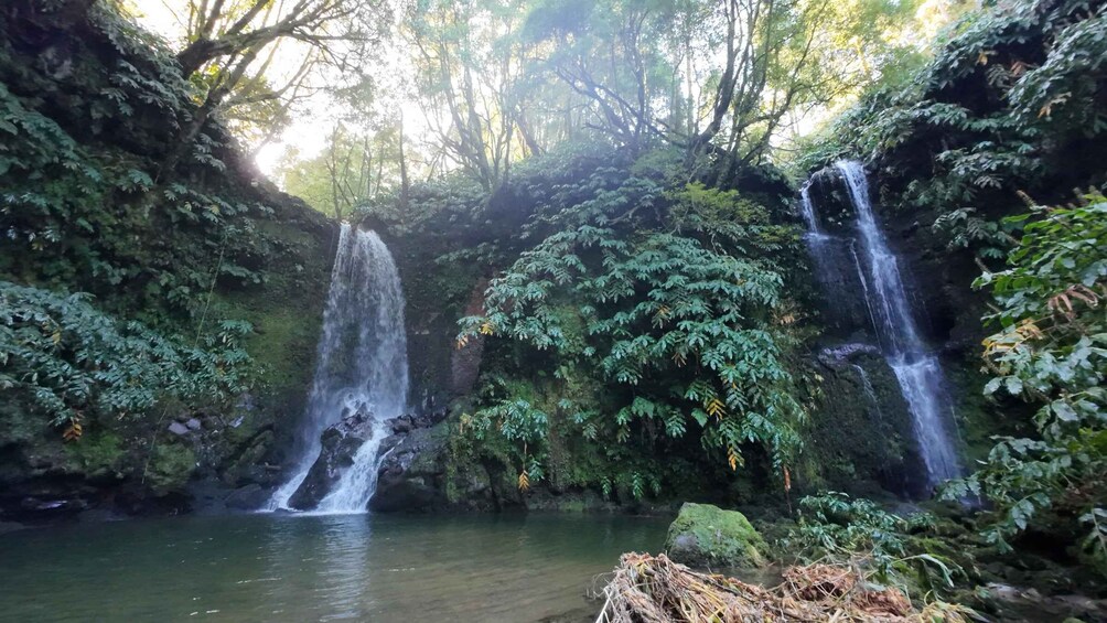 A waterfall in a forested area with dense foliage and a calm pool at the base. 3