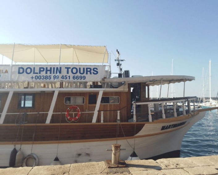 Picture 5 for Activity Pula: Sunset Dolphin Watching Cruise to NP Brijuni 2