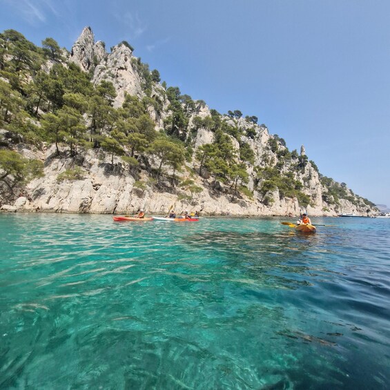Kayakers on a clear turquoise sea with rocky cliffs and pine trees in the background. 2