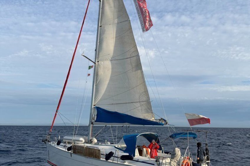 Golfo Aranci : Private all-inclusive sailing tour with dolphins 4