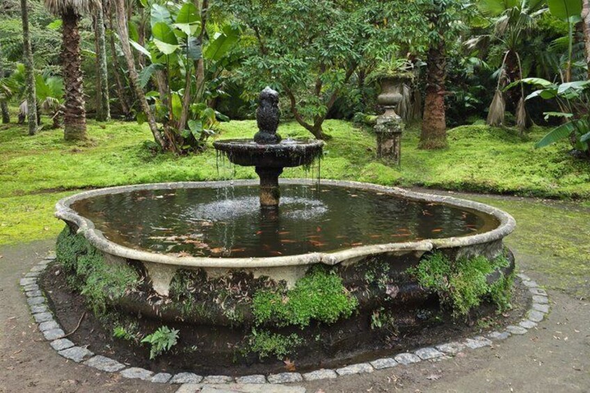 A circular stone fountain with water spouting from the center, surrounded by a mossy stone border and lush greenery. 3
