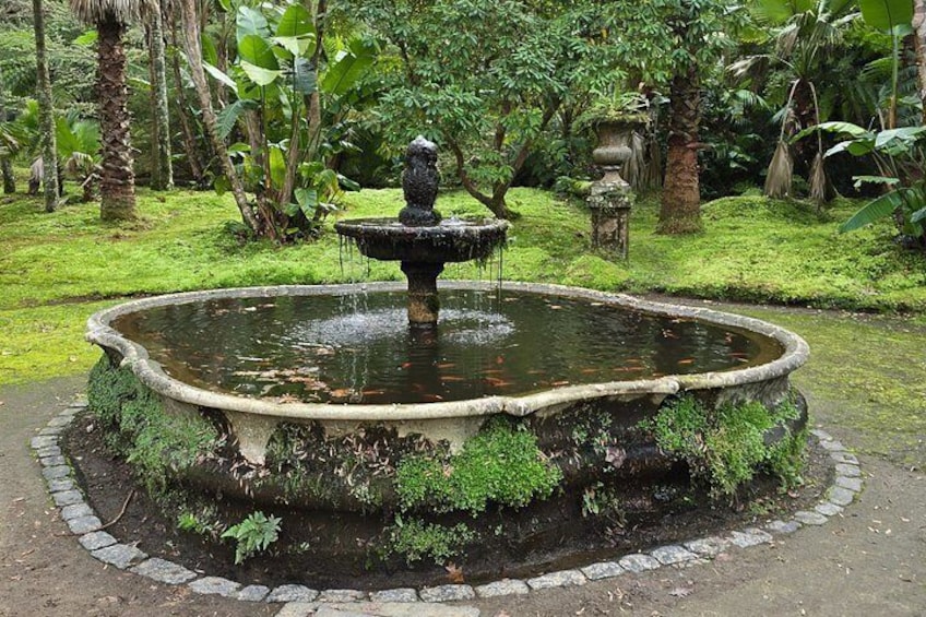 En rund stenfountain där vatten sprutar upp från mitten, omgiven av en kant täckt av mossa och frodig grönska. 3