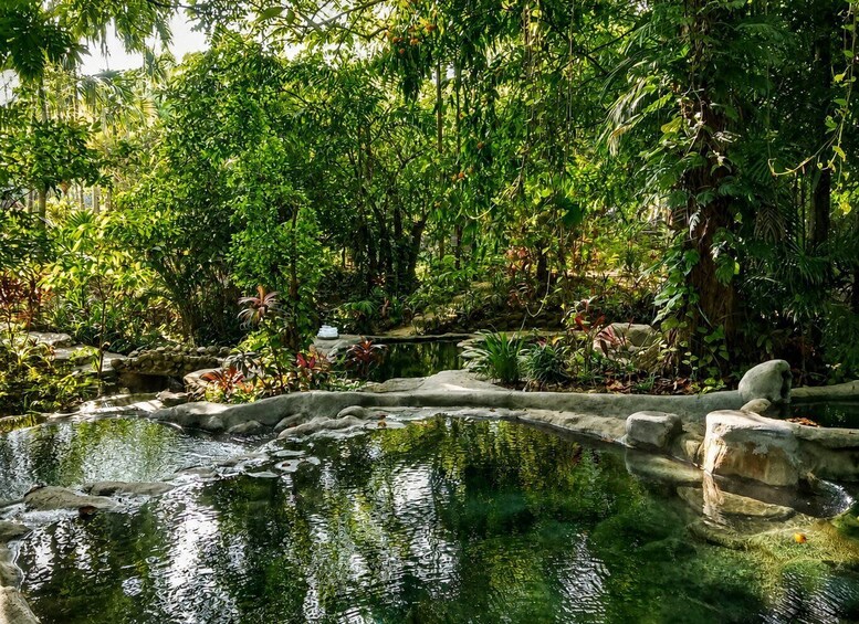 Picture 41 for Activity Krabi: Tiger Cave, Hot Springs & Emerald Pool Private Tour 3