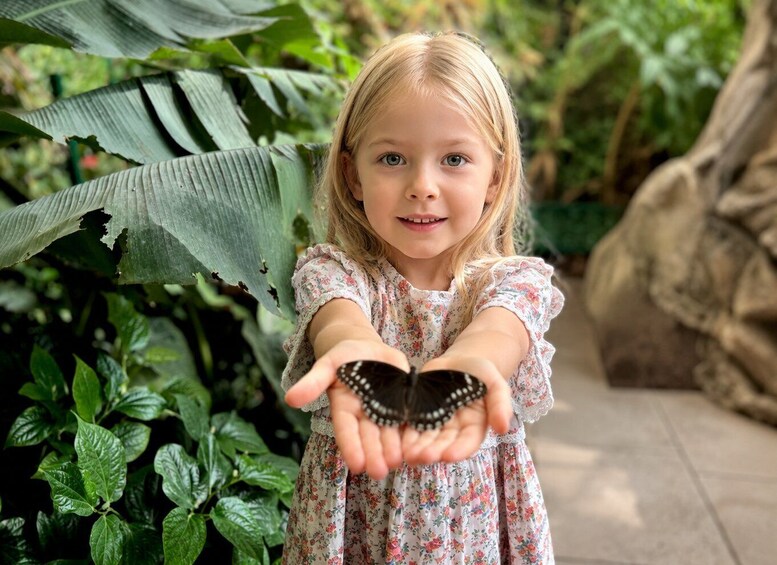 A child holding a butterfly in a garden with green foliage and a rock. 1