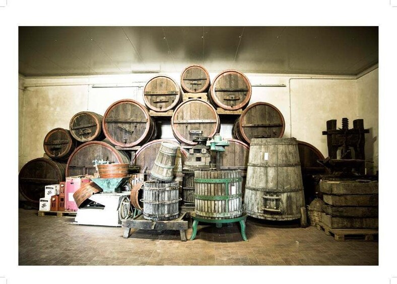 Picture 1 for Activity Goretti Winery Tour and Wine Tasting 3