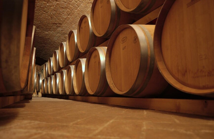 Goretti Winery Tour and Wine Tasting 1