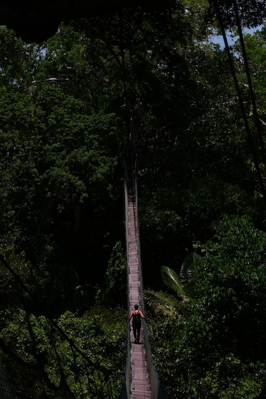 A person walking on a narrow wooden bridge in a dense forest. 4