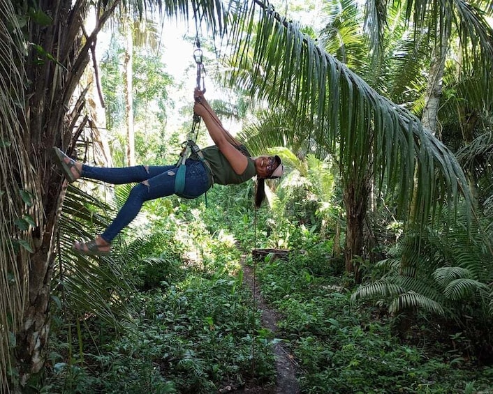 A person swinging on a rope through a dense forest. 3