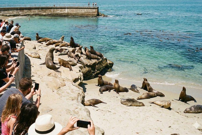 Discover San Diego: Self-Guided Walking Tour 5