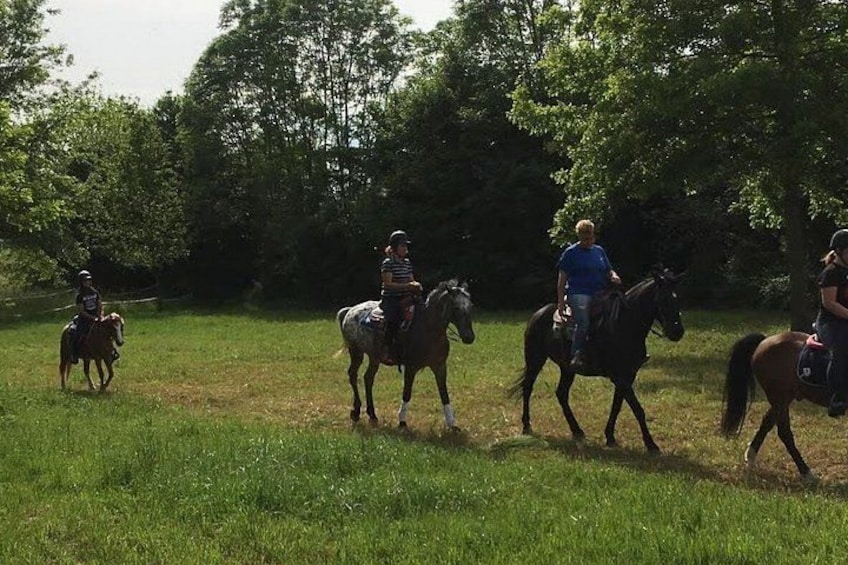 A group of people riding horses in a grassy field with trees in the background. 5