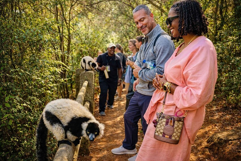 Antananarivo: Full day Lemurs’ Park/Queen’s Palace/City Tour 1