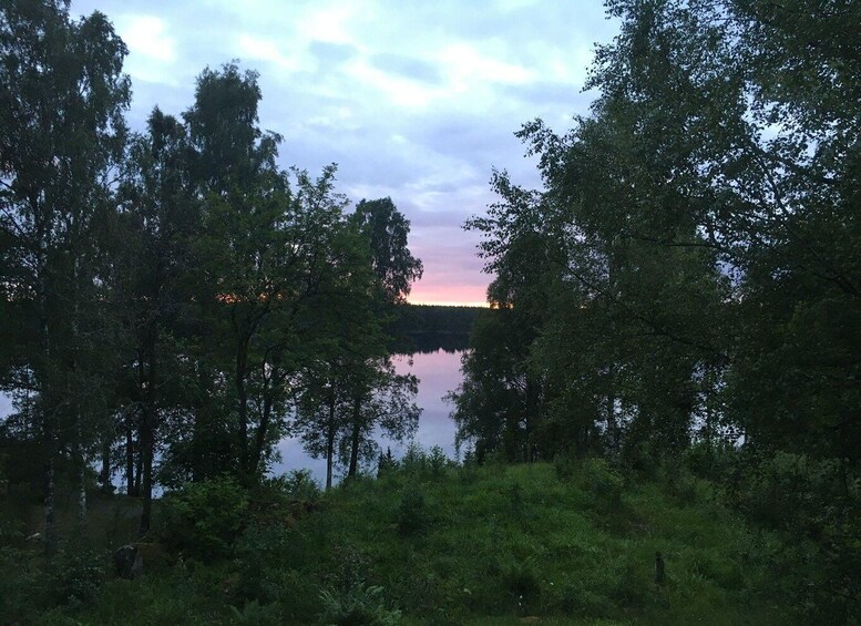 Picture 4 for Activity Tiveden National Park: Morning Tour with Breakfast 4