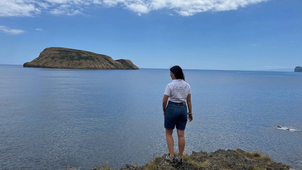 A person standing on a rocky outcrop overlooking calm blue water with a small island in the distance. 4