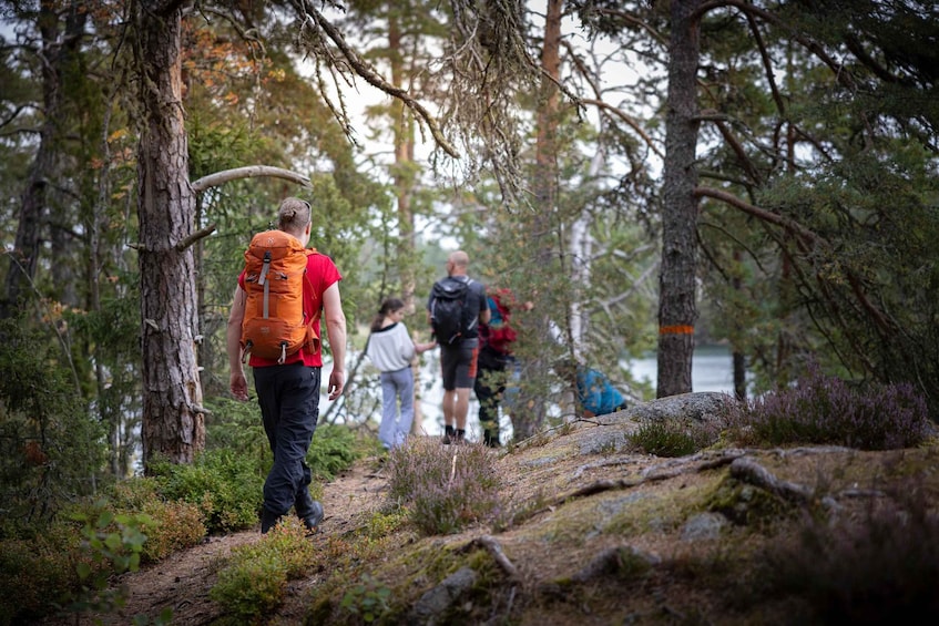 Tiveden National park: Summer guided walk around Stenkälla 1