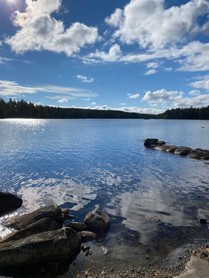 Picture 6 for Activity Tiveden National park: Summer guided walk around Stenkälla 5