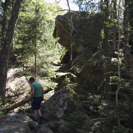 Picture 2 for Activity Tiveden National park: Summer guided walk around Stenkälla 4