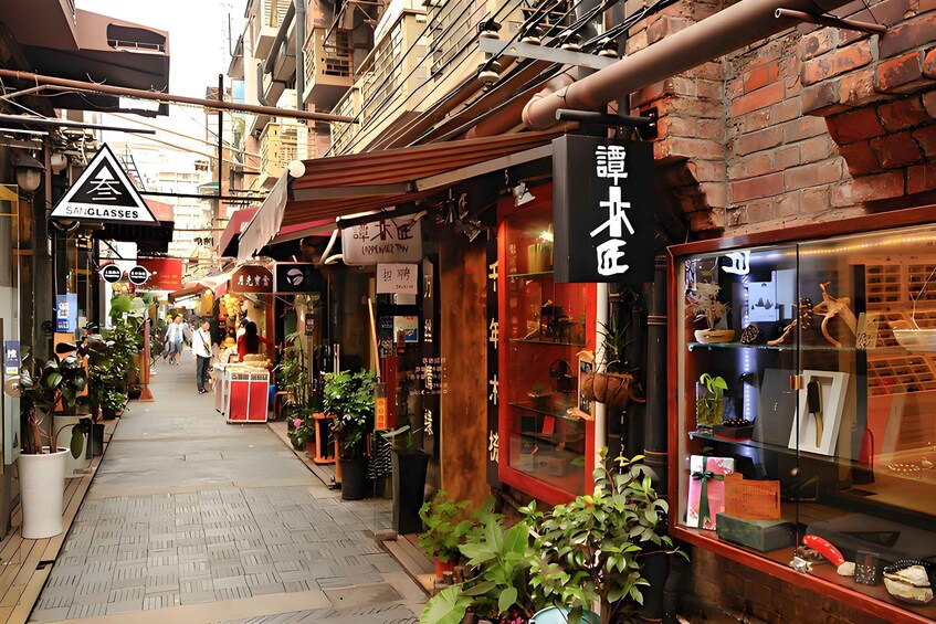 A narrow street lined with shops and potted plants. 4