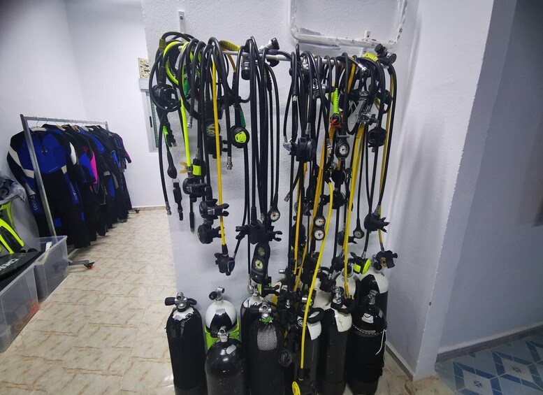 Picture 9 for Activity Introductory dive in Belyounech, photos & videos included 4