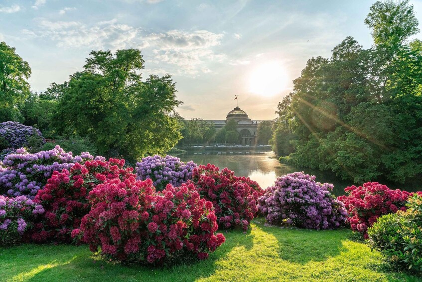 Wiesbaden: Naturally Wiesbaden - public tour 1