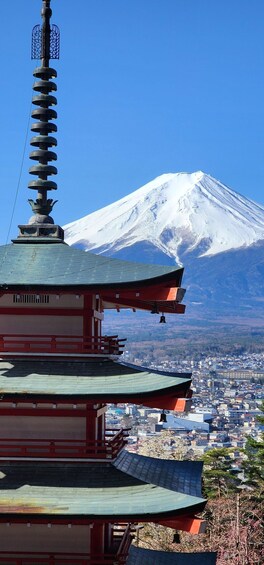 A pagoda with a snow-capped mountain in the background. 4