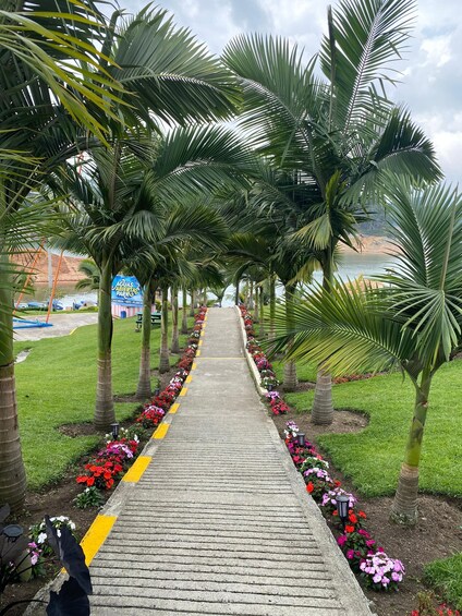 A pathway lined with palm trees and colorful flowers, leading towards a beach and a sign reading "AGVAS ABIERTAS PARK". 5