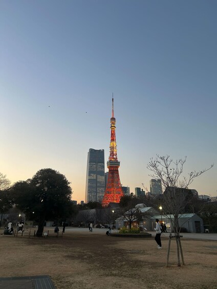 A park with people, a tall tower with red lights, and modern buildings in the background. 3