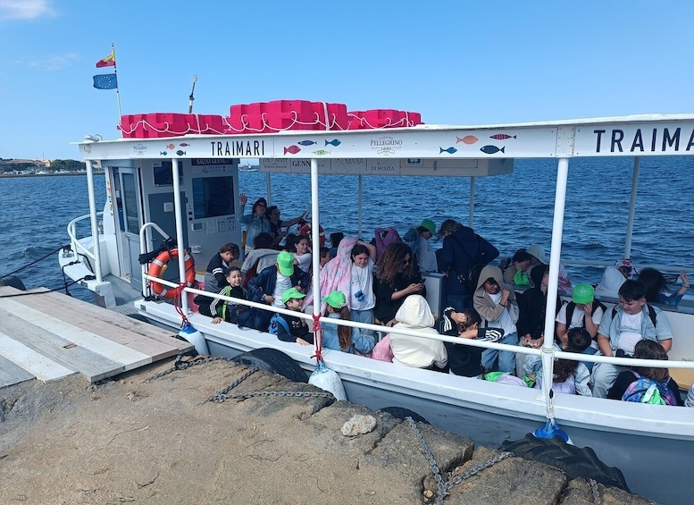 Picture 7 for Activity Boat transfer to the island of Mothia and visit to the Whitaker Museum 2
